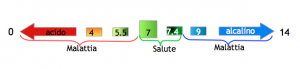 12b Acido-base immagine