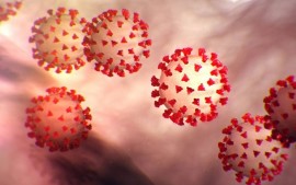 Coronavirus_home News ed Eventi